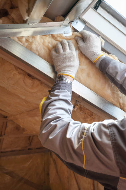 Best Residential Insulation in Enfield, NC